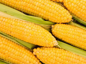 找蔬菜配送就找金六穗餐飲 西南有機蔬菜配送與餐飲管理一體化服務